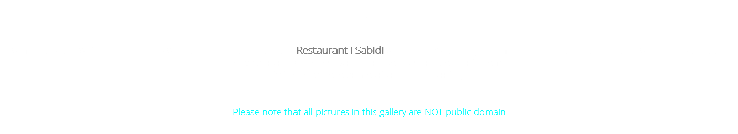 I Sabidi Few months ago we've been on this wonderful location: it is the Restaurant I Sabidi which offers a so high number of variety of places that we could spent three days shooting and we would not be able to use all of them. By the way, here some of our first shooting. Please note that all pictures in this gallery are NOT public domain 