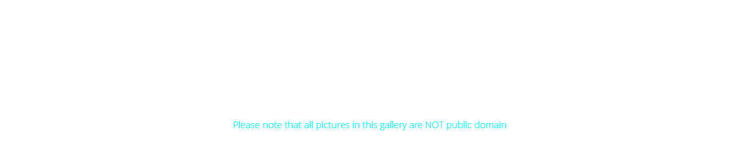 Old 35mm In this gallery there are very old pictures shot around end of 90's. I like them vety much, basically because they remind me the "ancient age" of Kodak 35mm film. I rescued the originals from an old box and scanned to bring them on electronic format. Quality is not at its best, but the "vintage" effect worths the effort. Please note that all pictures in this gallery are NOT public domain 