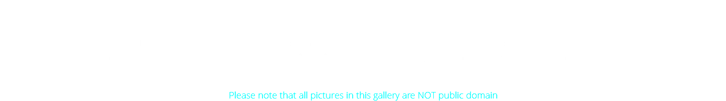 Single white (fe)male This gallery is entirely dedicated to a model, Cristina, which has a particular androgina appearance. It is my opinion that the contrast between her "hard" face and her stunning body, makes the whole extremely fashinating. Please note that all pictures in this gallery are NOT public domain